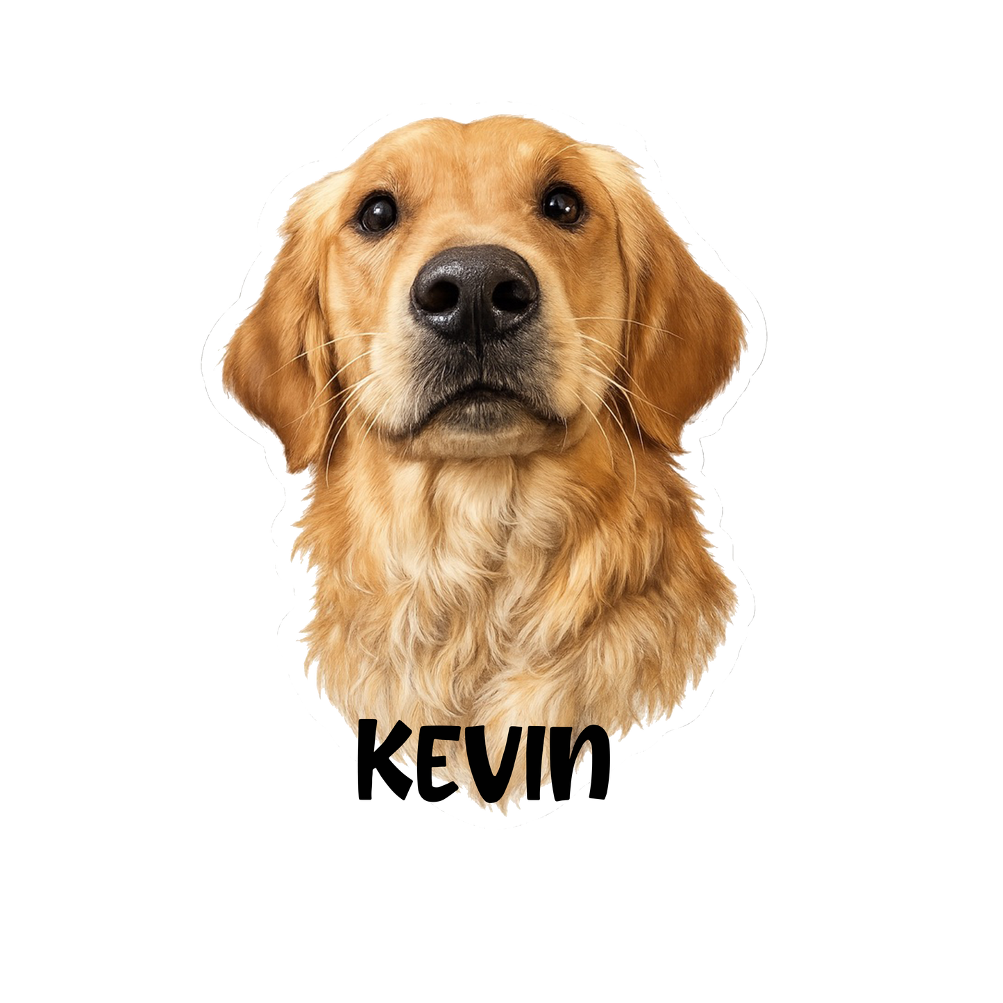 Kevin and Jamie Leech Counseling Graphic