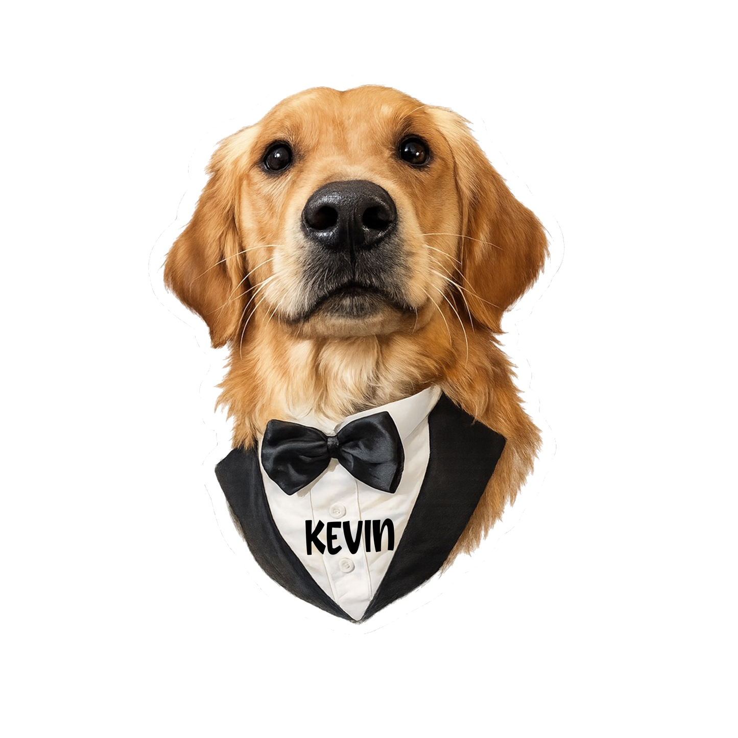 Kevin and Jamie Leech Counseling Sticker