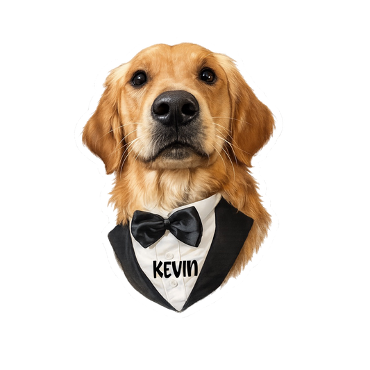 Kevin and Jamie Leech Counseling Sticker